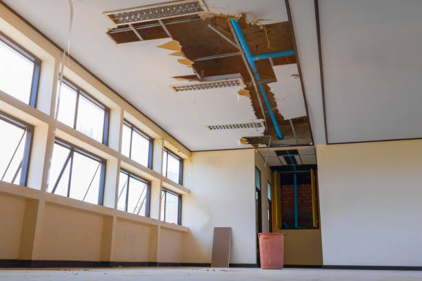 Best Professional water damage repair  in Bellaire, OH