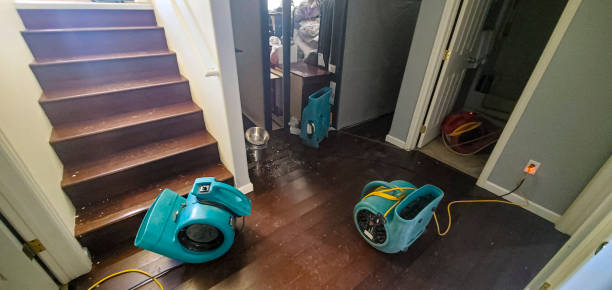 Best Water damage restoration near me  in Bellaire, OH
