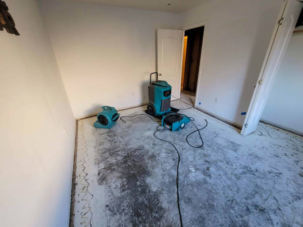 Best 24/7 water damage repair  in Bellaire, OH