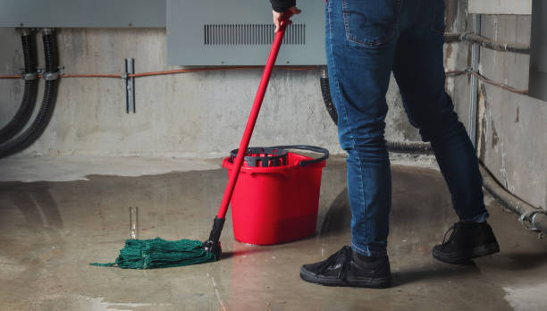 Best Basement water damage restoration  in Bellaire, OH