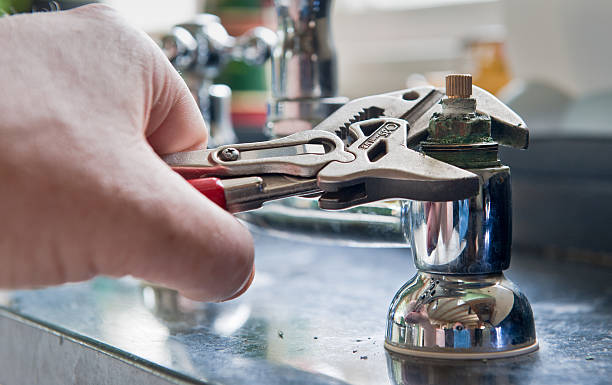 Best Mold removal after water damage  in Bellaire, OH