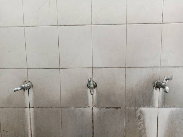Best Commercial water damage restoration  in Bellaire, OH