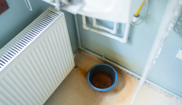 Best Ceiling water damage repair  in Bellaire, OH