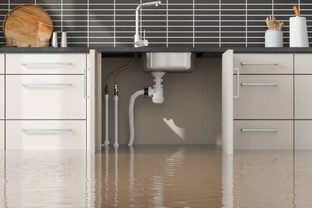 Best Flood damage cleanup  in Bellaire, OH