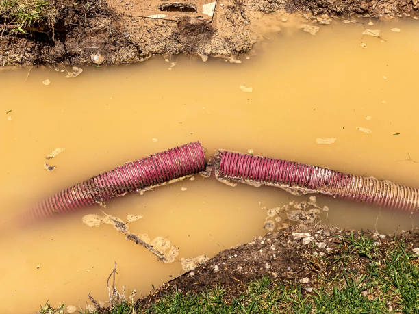 Best Water damage restoration near me  in Bellaire, OH